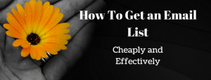 Cheap and effective email list building