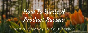 How to write a product review and put money in your pocket
