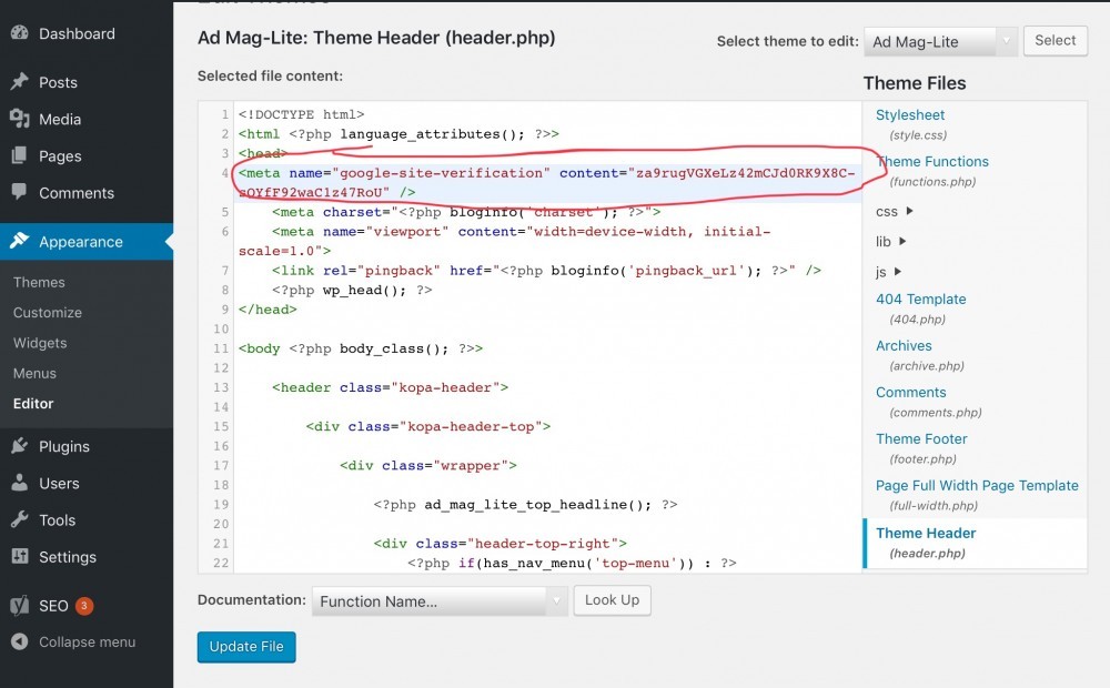 Where To put HTML Code in header