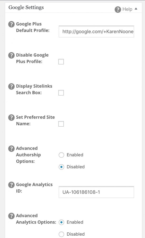 All in One SEO for Google Analytics