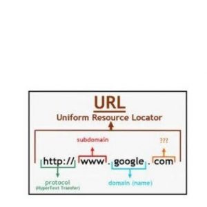 Using URLs On Your Website