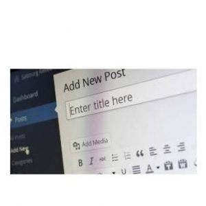 Using WordPress to Create Posts