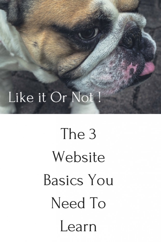 Learn The Website Basics - 3 Things You Need To Learn Now