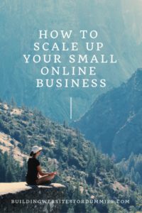 How to Build A Small Online Business - Time To Scale Up ?