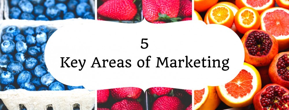 5 Key Areas To Focus On In Marketing