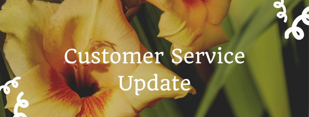 How To Improve In Your Customer Service